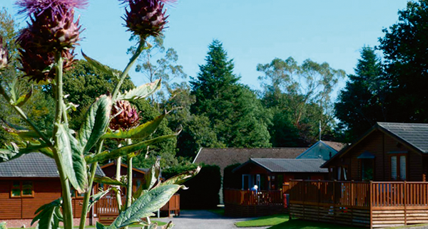Eden Valley Holiday Park Cabins Eden Valley Holiday Park Cabins