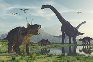 Dinosaur fun as family farm attraction opens to offer safe outdoor play A Staffordshire family adventure farm is to open for the summer holidays for dinosaur fun now the government has announced the re-opening of rural attractions across England which last year were enjoyed by over 25 million visitors.
