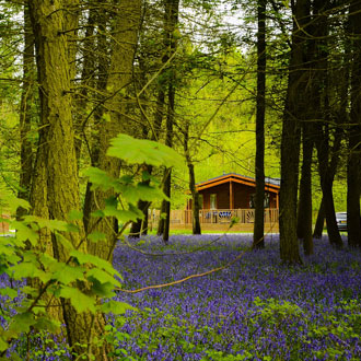 Hollicarrs 5* Holiday Park lodges Hollicarrs 5* Holiday Park lodges