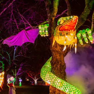 The jabberwocky at Alice In Winterland - Lightwater Valley The jabberwocky at Alice In Winterland - Lightwater Valley
