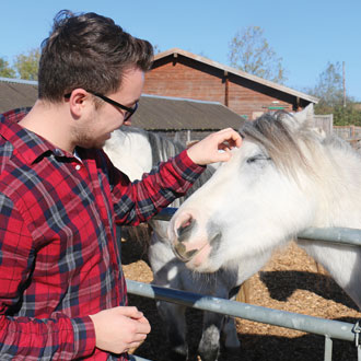 Man petting horse at the Redwings Horse Sanctuary Man petting horse at the Redwings Horse Sanctuary