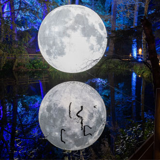 Full moon at The Enchanted Forest Full moon at The Enchanted Forest
