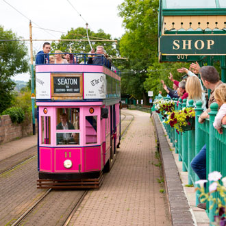 Pink Tram at Seaton Tramway Pink Tram at Seaton Tramway