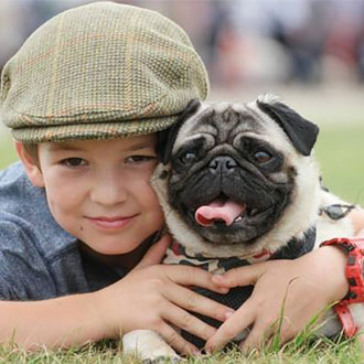 Pug and boy at the largest dogs festival Pug and boy at the largest dogs festival